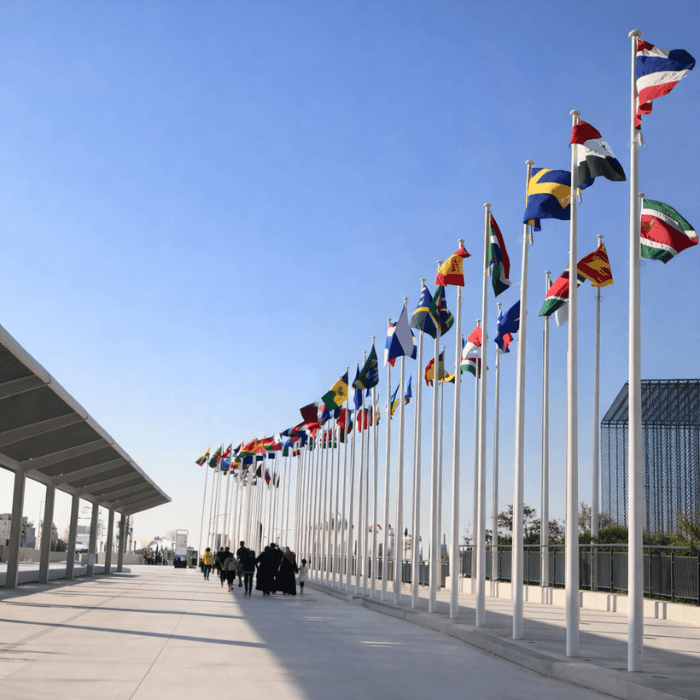 Embassies and diplomatic missions